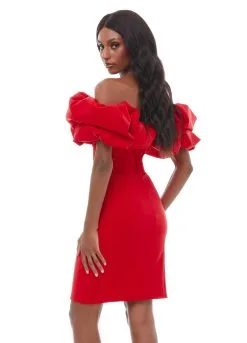 Ashley Lauren - 4337 | Runway Fashion Haus -Fashion Dress Shop 4337 6.2000