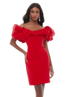 Ashley Lauren - 4337 | Runway Fashion Haus -Fashion Dress Shop 4337 8.2000
