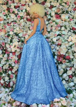 Clarisse - 800309 | Runway Fashion Haus -Fashion Dress Shop 800309 b.2000