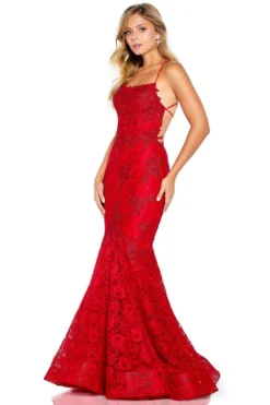 Mermaid Lace Prom Dress Amarra 20255