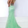 Embroidered Lace Johnathan Kayne Prom Dress 2644